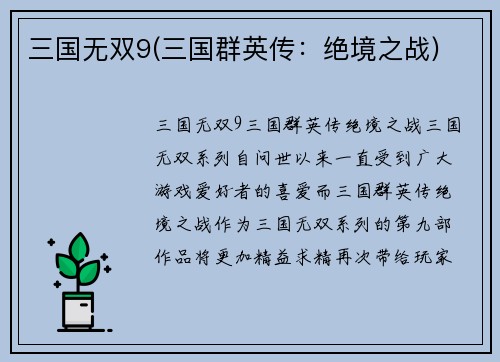 三国无双9(三国群英传：绝境之战)